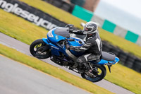 PJ-Motorsport-2019;anglesey-no-limits-trackday;anglesey-photographs;anglesey-trackday-photographs;enduro-digital-images;event-digital-images;eventdigitalimages;no-limits-trackdays;peter-wileman-photography;racing-digital-images;trac-mon;trackday-digital-images;trackday-photos;ty-croes